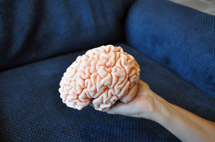 I 3D Printed My Son's Brain Using Data From His MRI I 3D Printed My Son