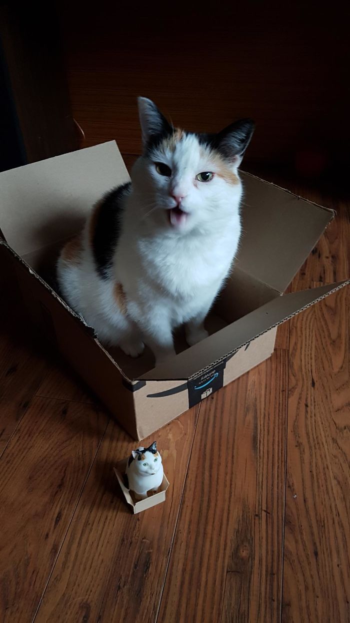 3D Printed And Painted My Cat 3D Printed And Painted My Cat