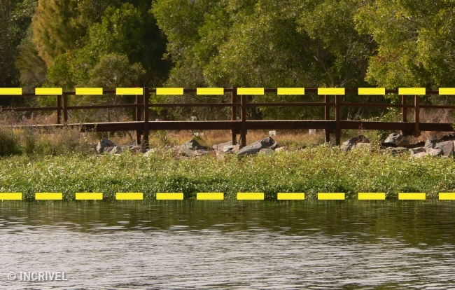 17 Truques para tirar fotos profissionais com o celular