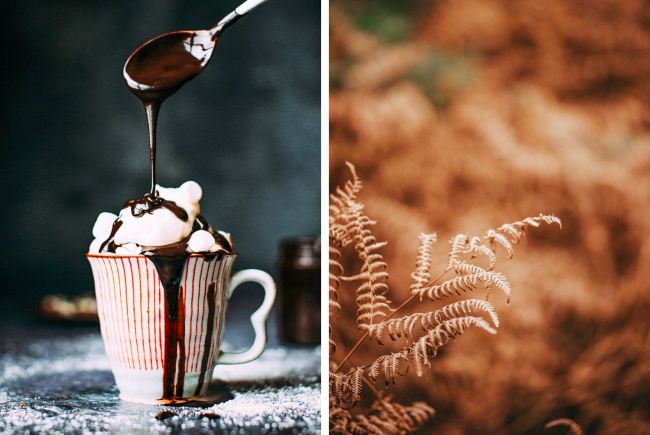 17 Truques para tirar fotos profissionais com o celular