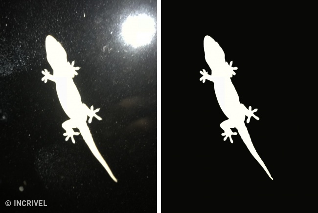 17 Truques para tirar fotos profissionais com o celular