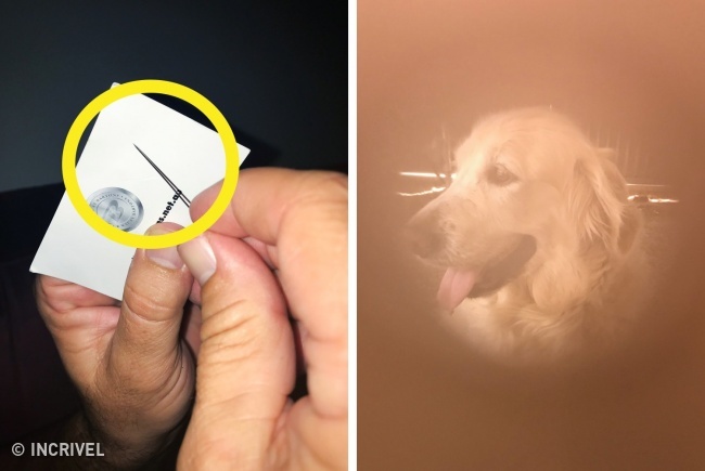 17 Truques para tirar fotos profissionais com o celular