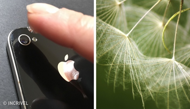 17 Truques para tirar fotos profissionais com o celular