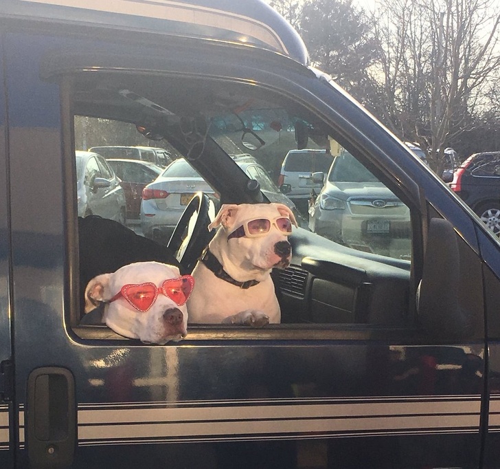 25 Pais tão divertidos que poderiam participar de séries de comédia