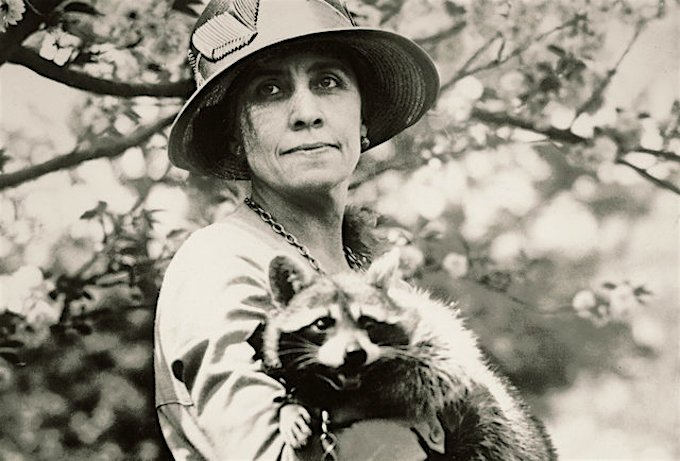 Image result for Coolidge