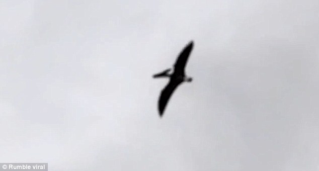 A number of skeptical people have taken to YouTube to dismiss the footage as being fake