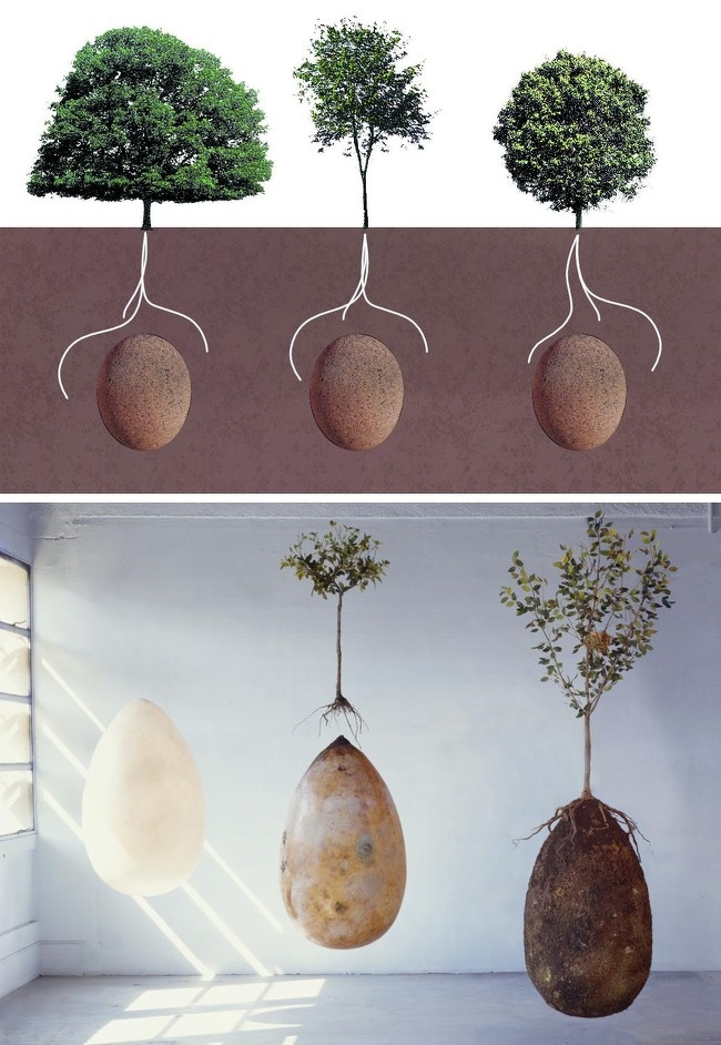 15 Dicas sustentáveis que vão ajudar nosso planeta