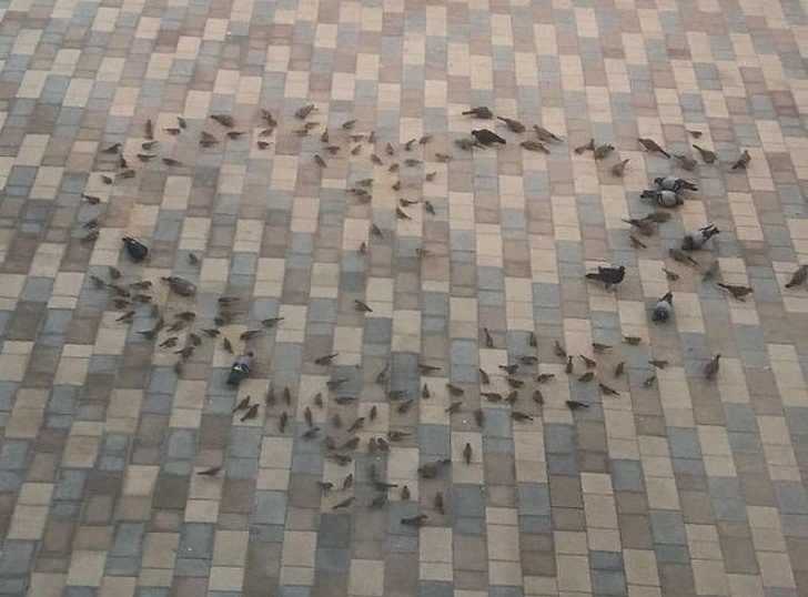 19 Momentos comoventes que mostram a força do amor familiar