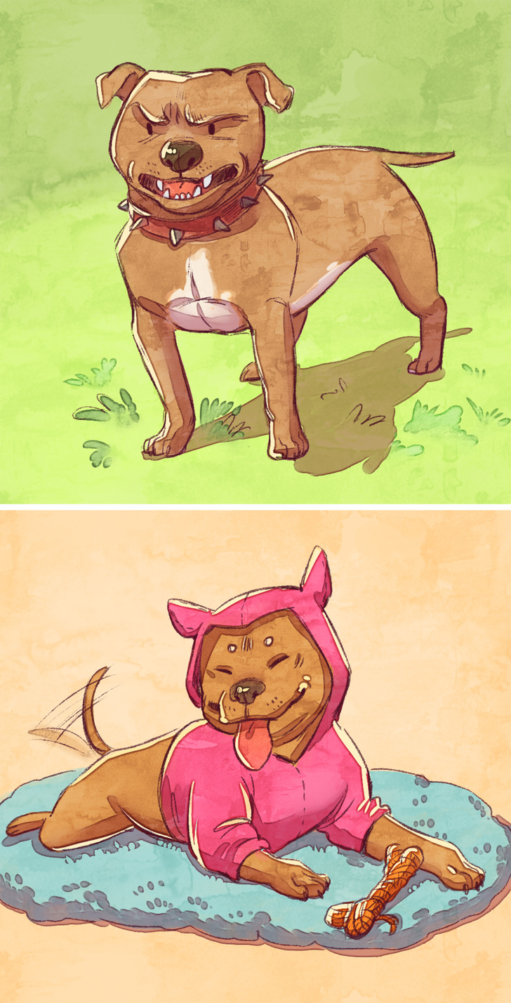 15 Quadrinhos sobre como é a vida antes e depois do casamento