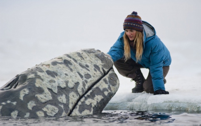 15 Conmovedoras películas para aquellos que aman a los animales