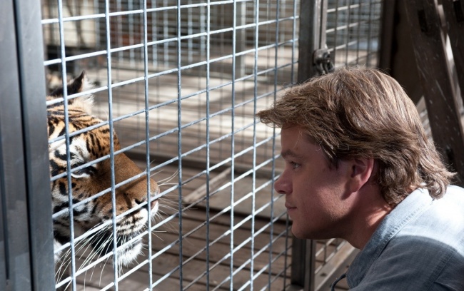 15 Conmovedoras películas para aquellos que aman a los animales