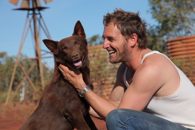 15 Conmovedoras películas para aquellos que aman a los animales