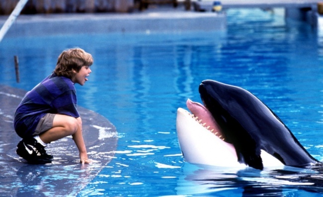 15 Conmovedoras películas para aquellos que aman a los animales