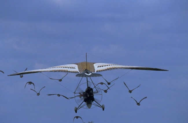 15 Conmovedoras películas para aquellos que aman a los animales