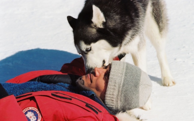 15 Conmovedoras películas para aquellos que aman a los animales