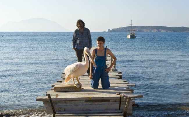 15 Conmovedoras películas para aquellos que aman a los animales