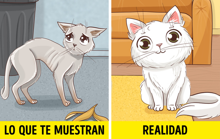 11 Situaciones cotidianas en las que no vale la pena ayudar a los demás