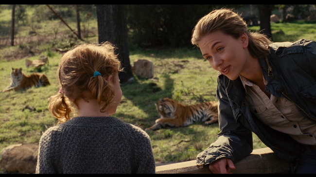 9 Cálidas películas para una noche familiar