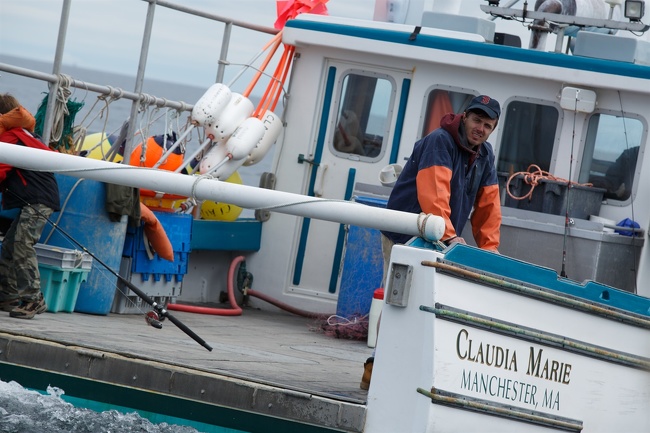 14 Películas poco conocidas, que no se quedan atrás de las más taquilleras