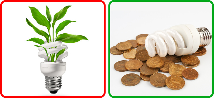 9 Mitos sobre la ecología que venimos creyendo desde la escuela