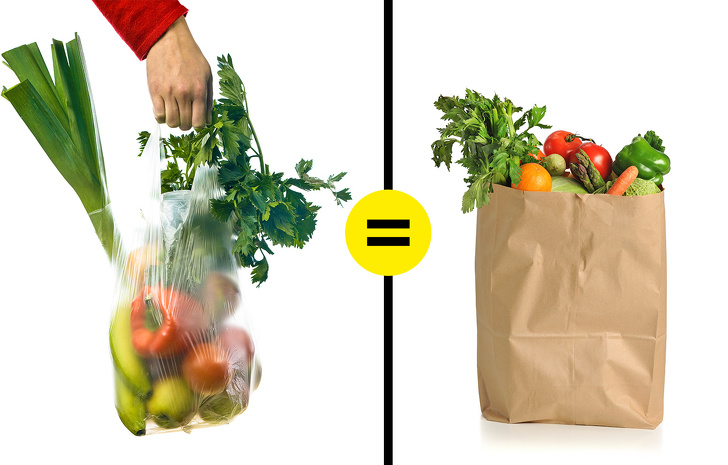 9 Mitos sobre la ecología que venimos creyendo desde la escuela