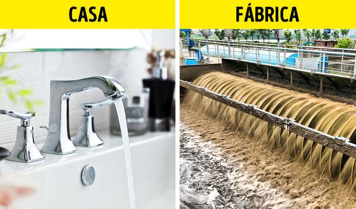 9 Mitos sobre la ecología que venimos creyendo desde la escuela