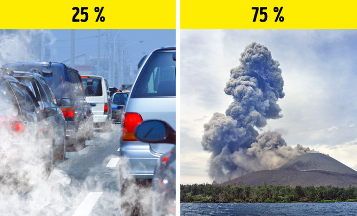 9 Mitos sobre la ecología que venimos creyendo desde la escuela