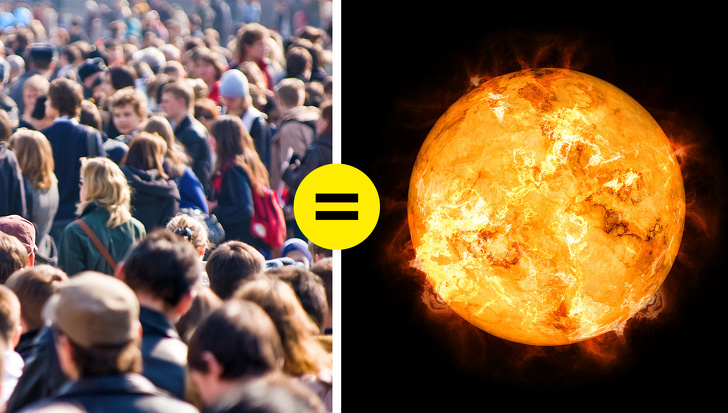 9 Mitos sobre la ecología que venimos creyendo desde la escuela