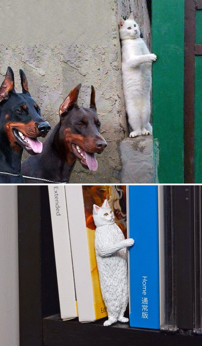 Funny-Sculptures-Meetissai Funny-Sculptures-Meetissai