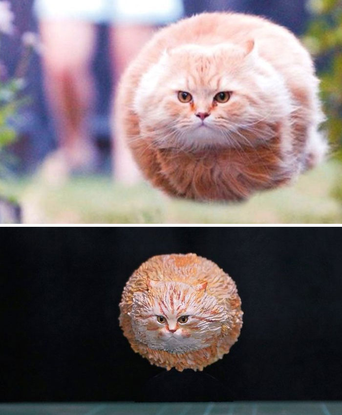 Funny-Sculptures-Meetissai Funny-Sculptures-Meetissai