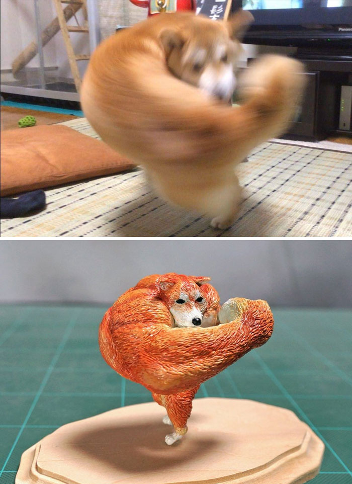 Funny-Sculptures-Meetissai Funny-Sculptures-Meetissai