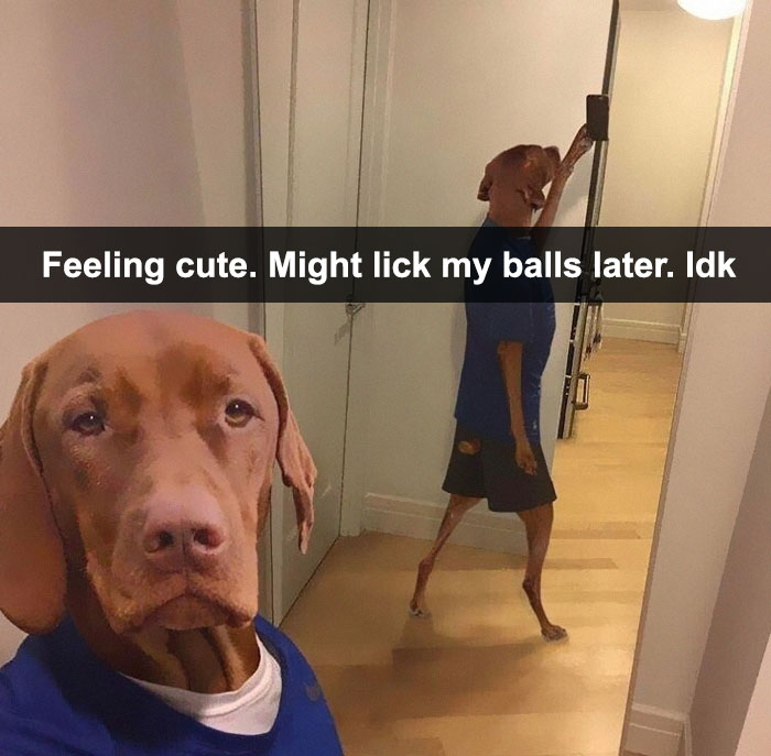 Funny-Feeling-Cute-Challenge