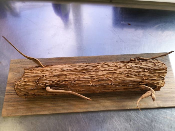 Jumbo Chocolate Log Jumbo Chocolate Log