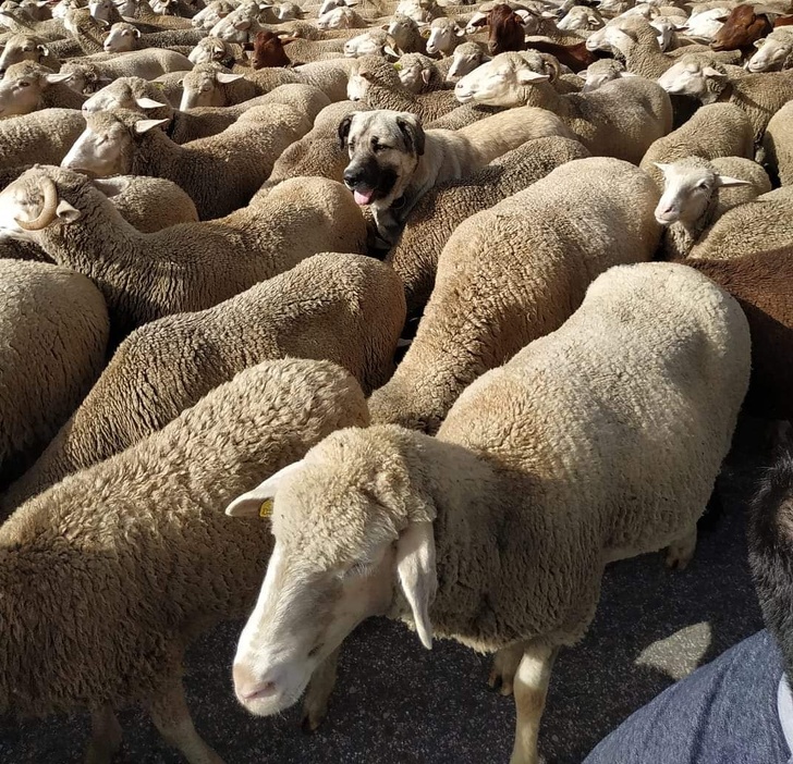 16 Photos That Seem Ordinary Until You Look at the Background