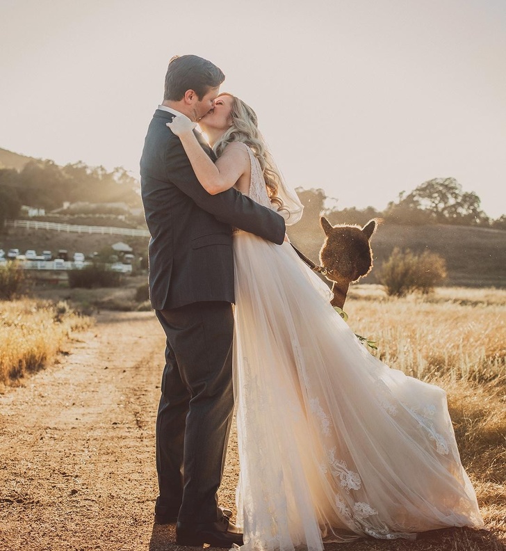 16 Photos That Seem Ordinary Until You Look at the Background