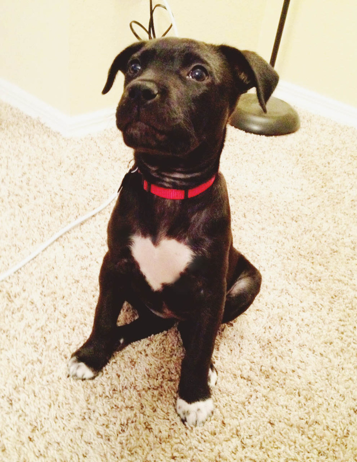 21 Animal Photos That Prove Nature Is a Color Guru