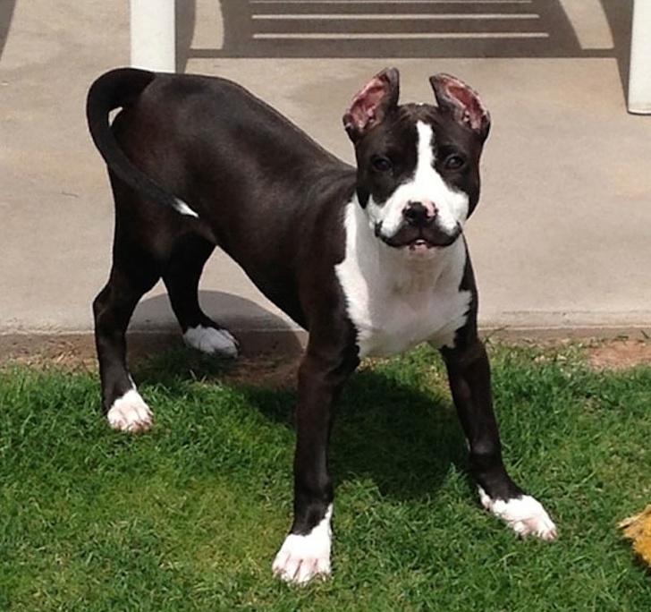 21 Animal Photos That Prove Nature Is a Color Guru