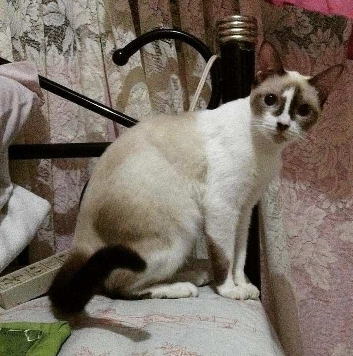 21 Animal Photos That Prove Nature Is a Color Guru