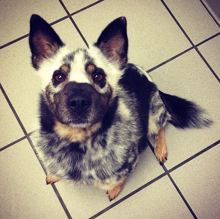 21 Animal Photos That Prove Nature Is a Color Guru