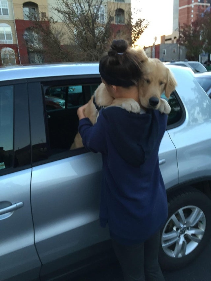 22 Devoted Animals Who’ll Never Run Out of Love