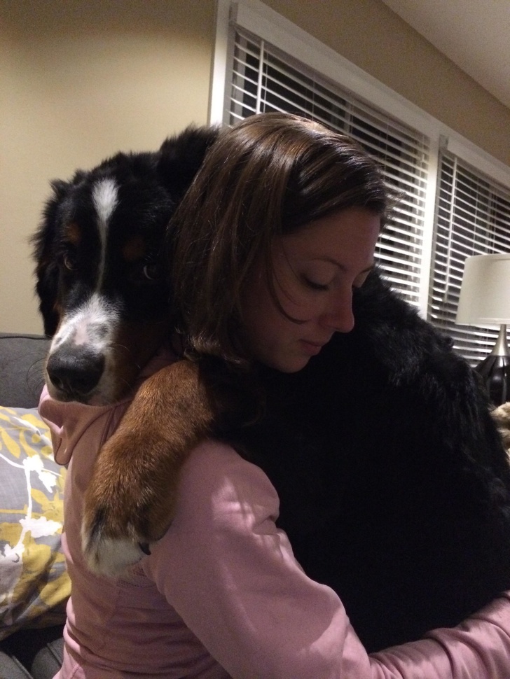 22 Devoted Animals Who’ll Never Run Out of Love