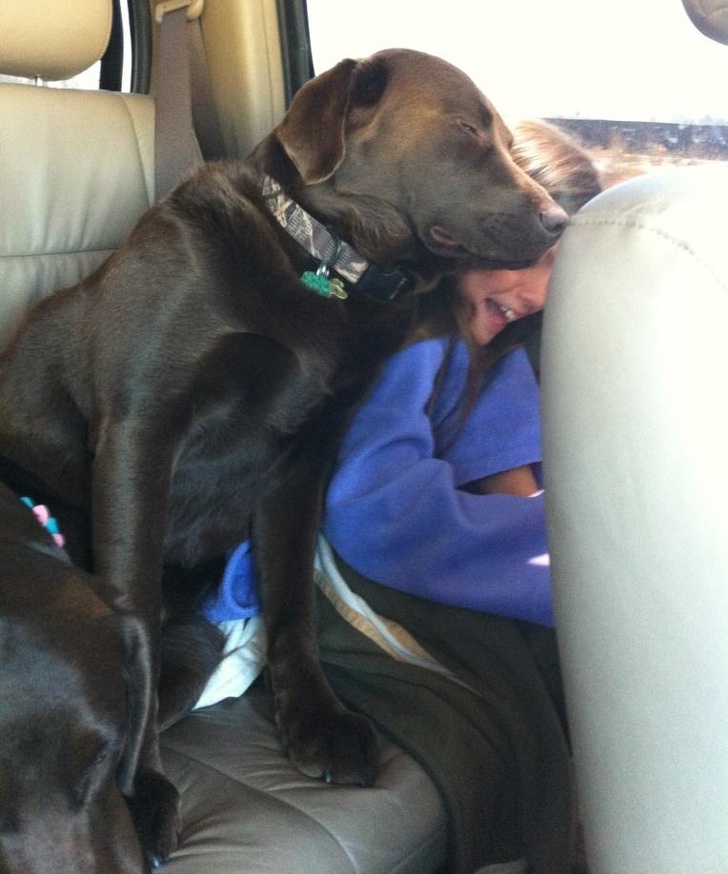22 Devoted Animals Who’ll Never Run Out of Love