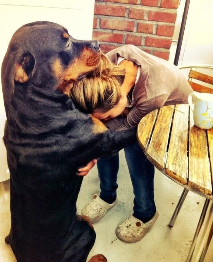 22 Devoted Animals Who’ll Never Run Out of Love