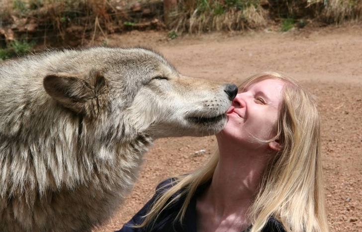 22 Devoted Animals Who’ll Never Run Out of Love