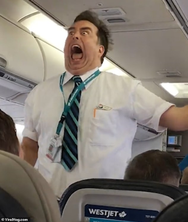 Westjet Flight Attendants Hilarious Safety Demonstration Small Joys 