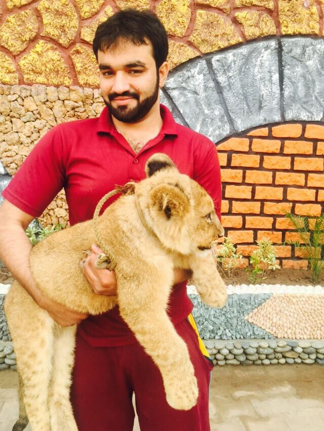 Homme Qui Vit Avec Les Lions Cet homme a un lionceau comme animal de compagnie qui vit avec lui dans