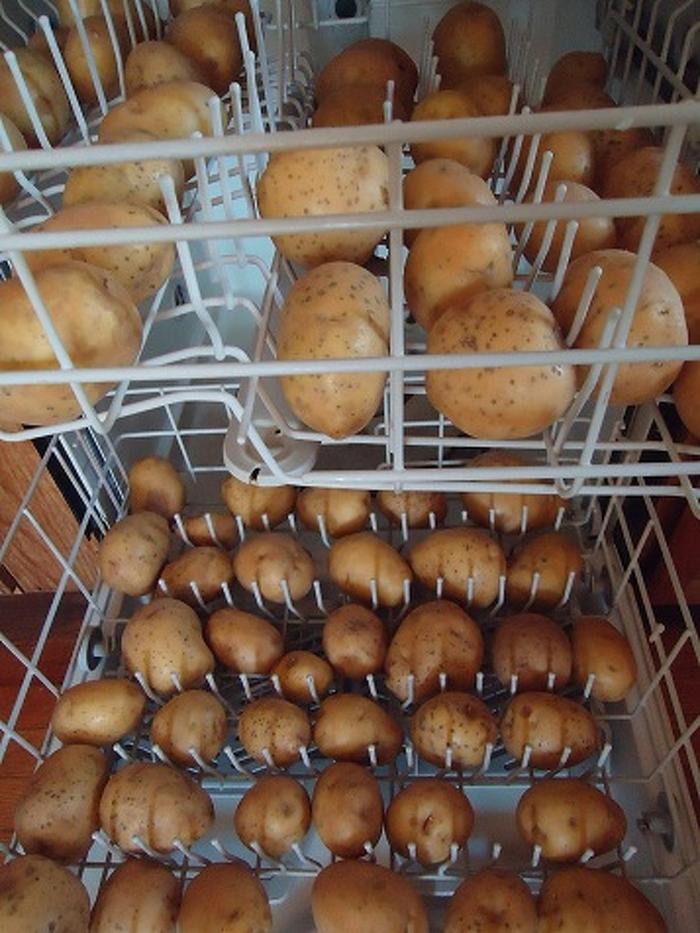 20 dicas incríveis para facilitar sua vida