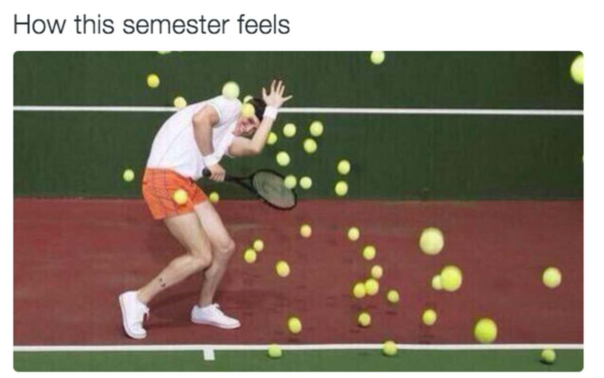 funny photos of how school is going 18.png