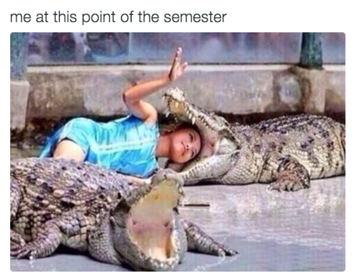 funny photos of how school is going 21.png