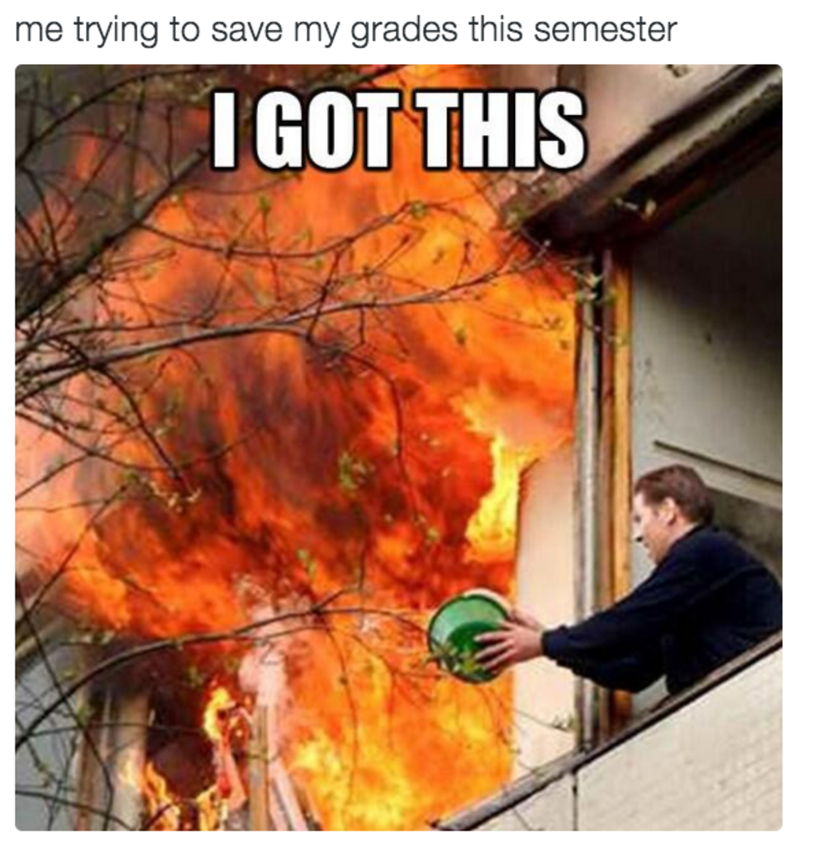 funny photos of how school is going 3.png